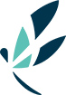 Dragonfly Therapy Uses ScheduleAnywhere
